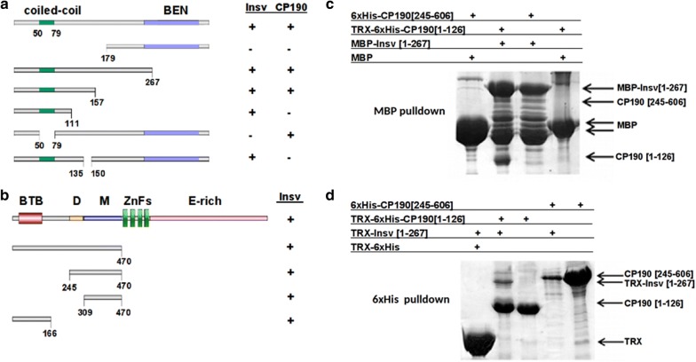 Fig. 6