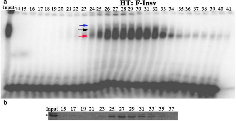 Fig. 3