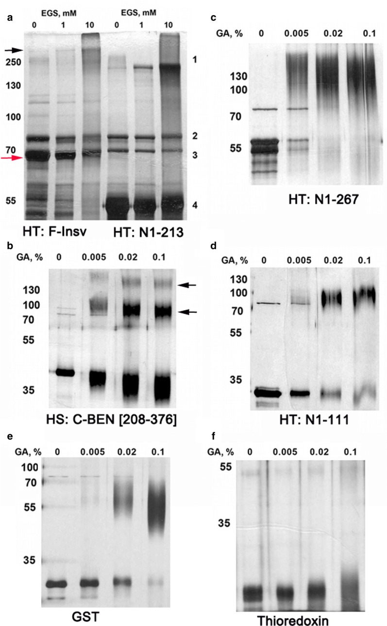 Fig. 5