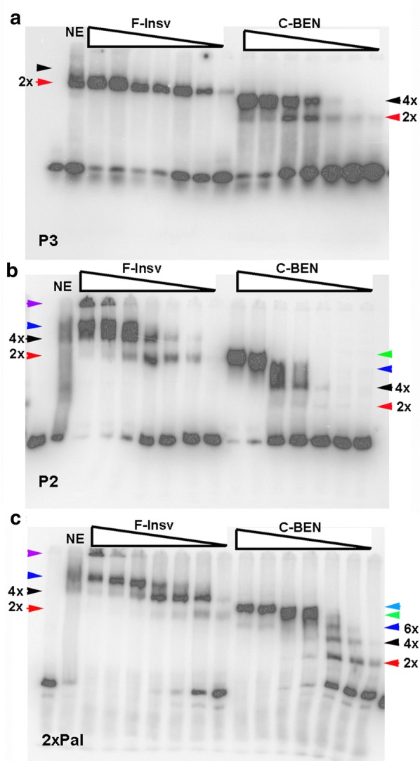 Fig. 4