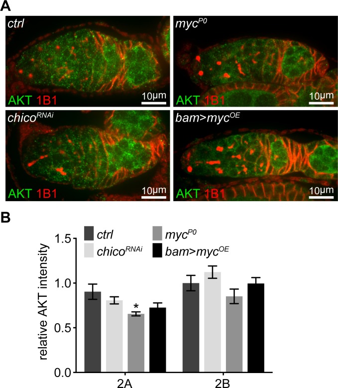 Figure 6—figure supplement 1.