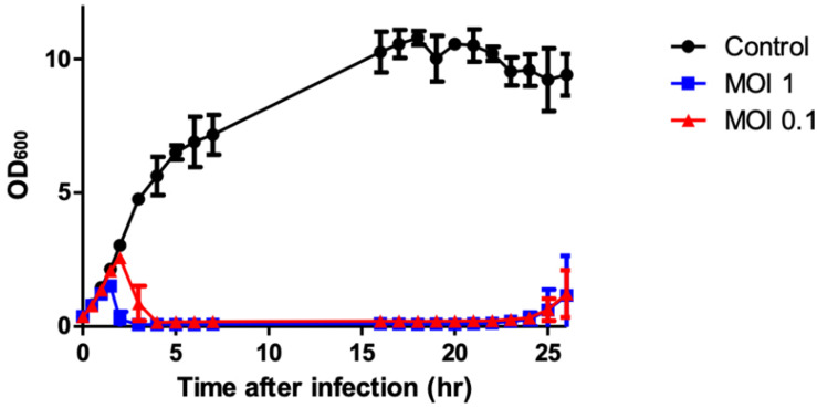 FIGURE 2