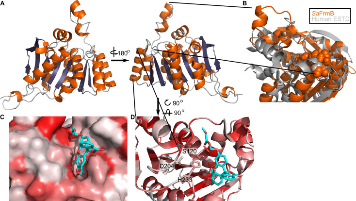 Figure 4.