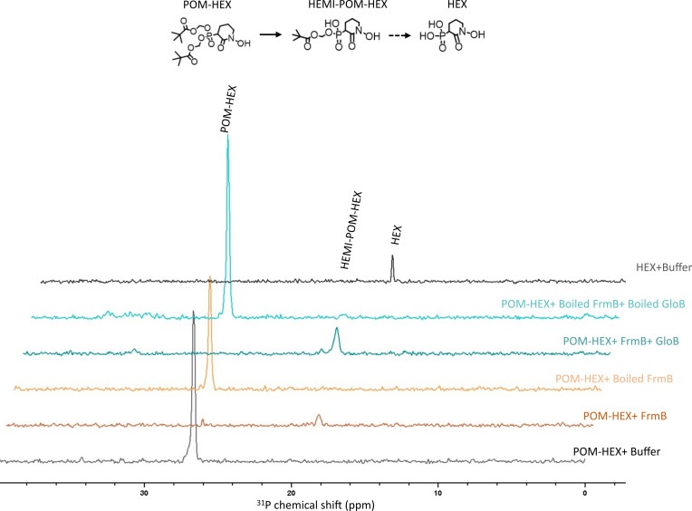 Figure 2—figure supplement 4.