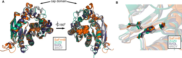 Figure 4—figure supplement 1.