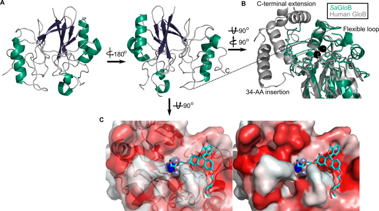 Figure 5.