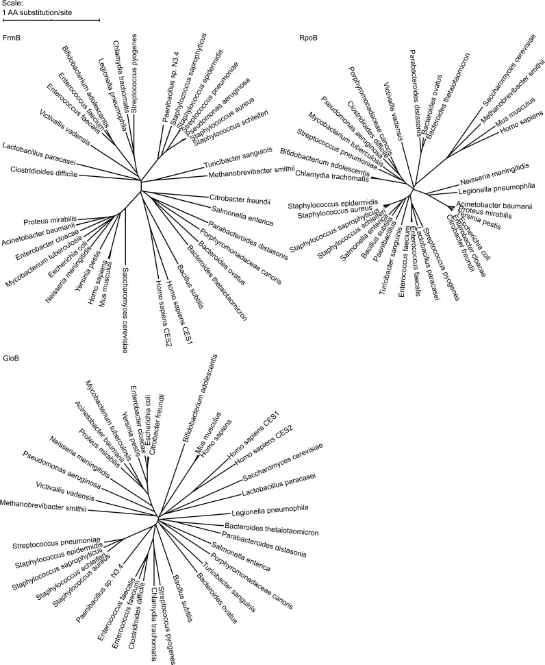 Figure 2—figure supplement 2.