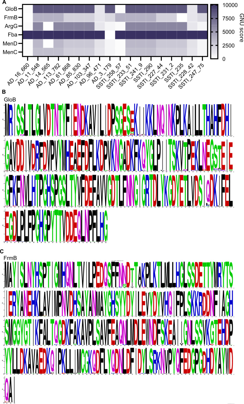 Figure 2—figure supplement 1.