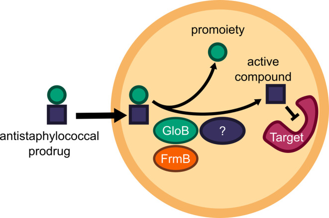 Figure 7.