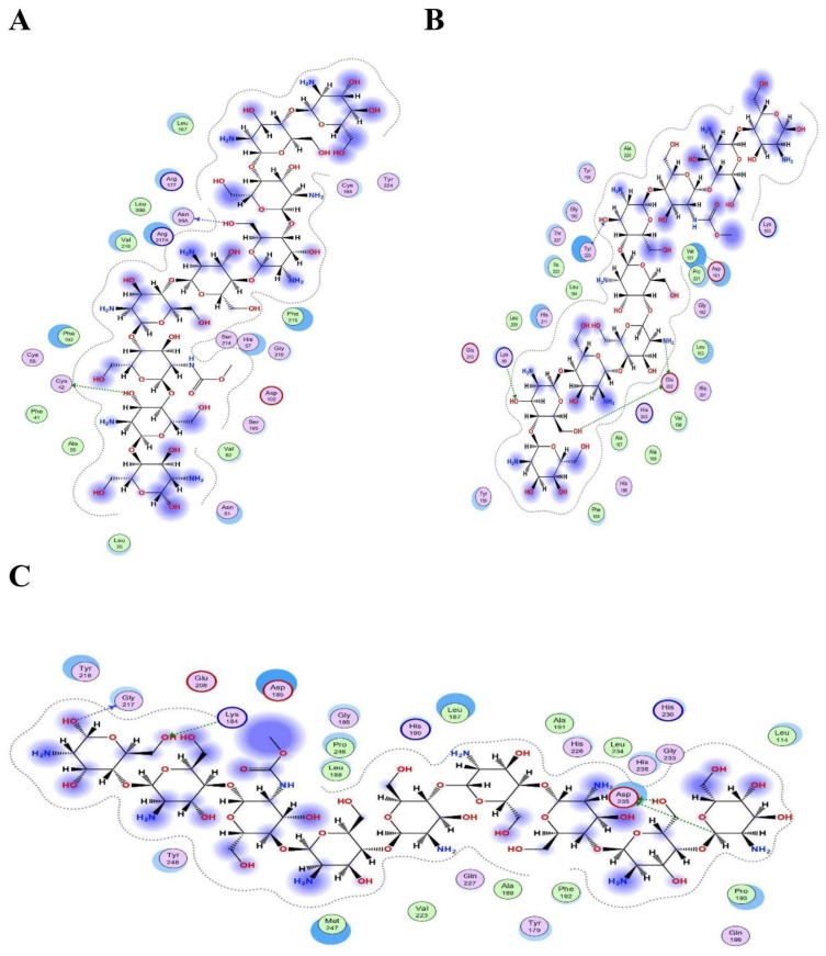 Figure 12