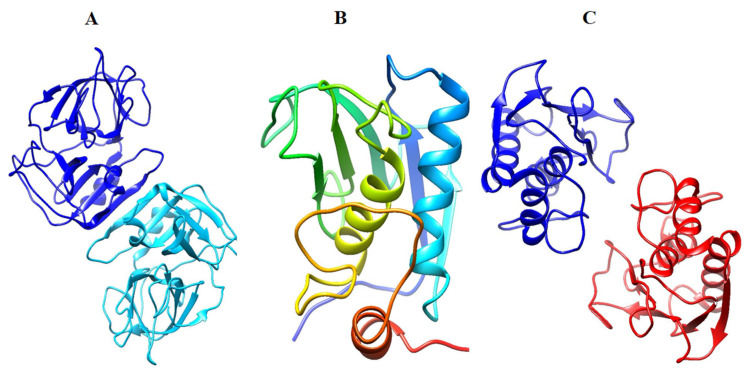 Figure 9