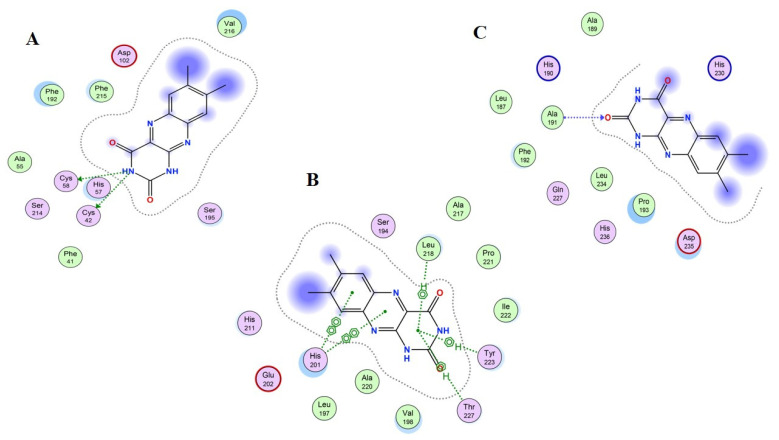 Figure 10