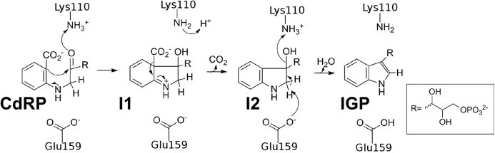 FIGURE 1.