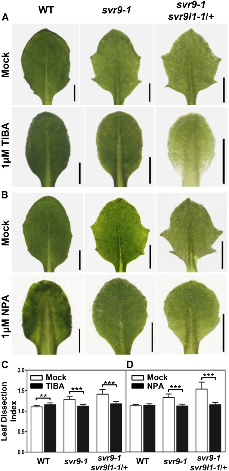 Figure 9.