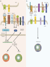 <b>Figure 2</b>