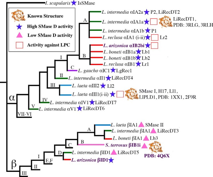 FIGURE 1.