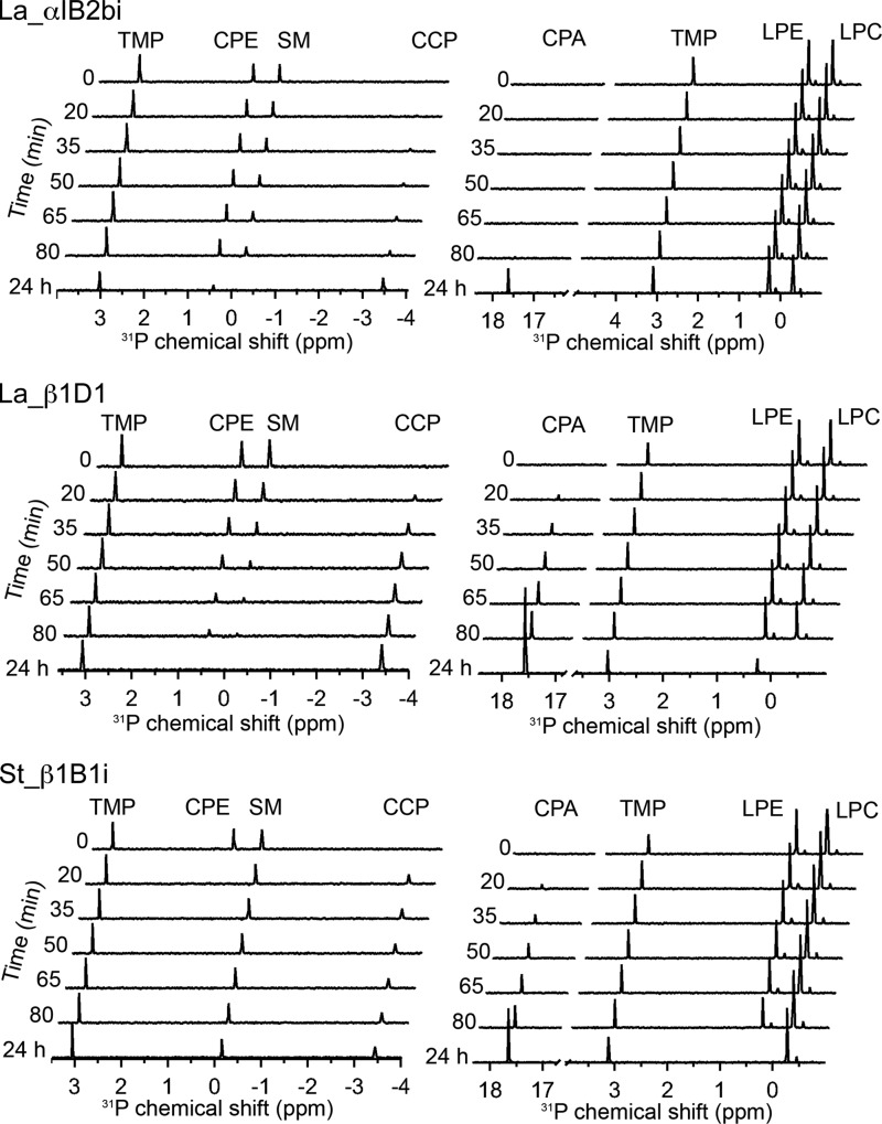 FIGURE 4.