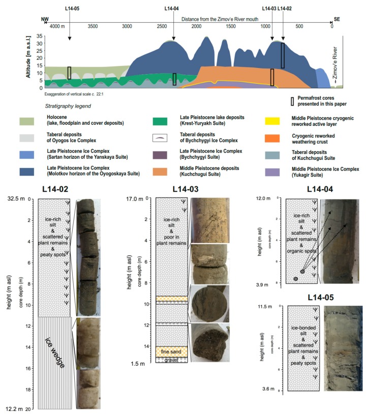 Figure 2