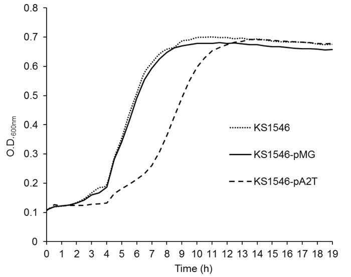 FIGURE 3