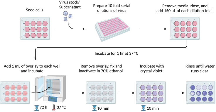 Figure 4