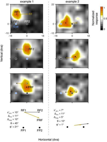 Extended Data Figure 9