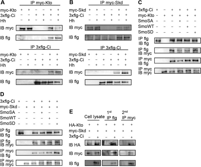 FIGURE 3.