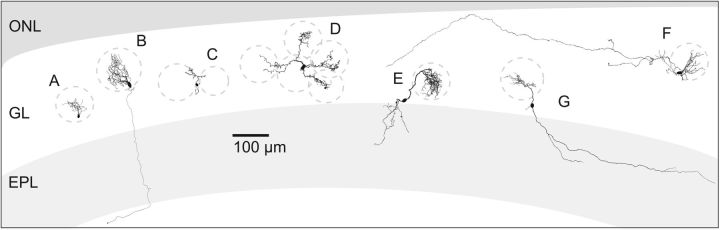 Figure 7.