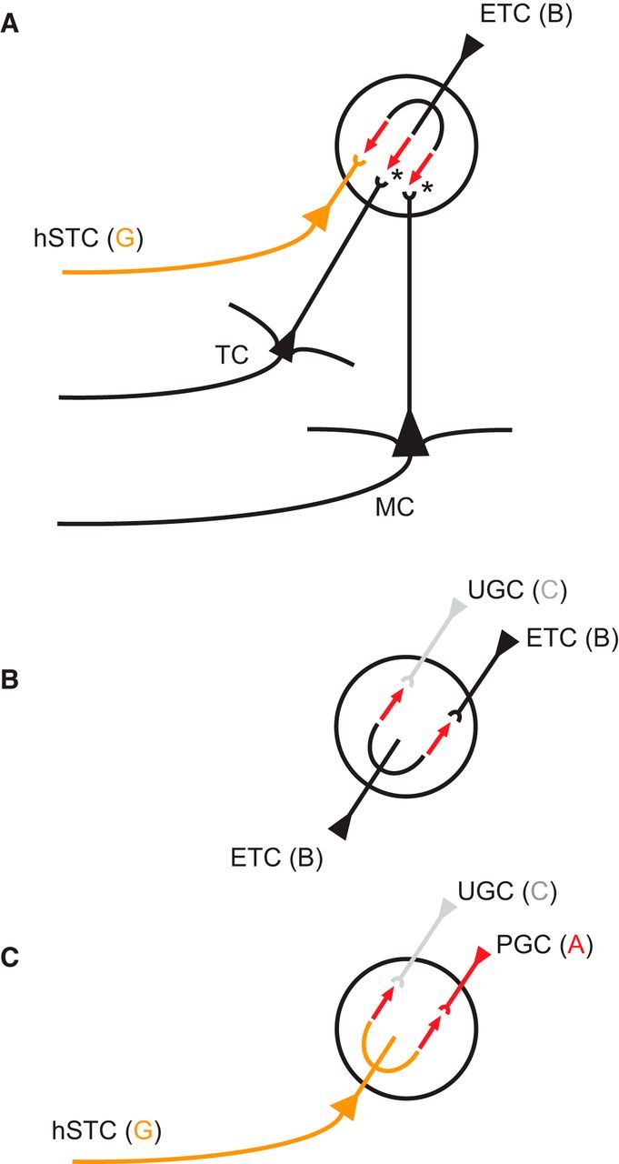 Figure 8.