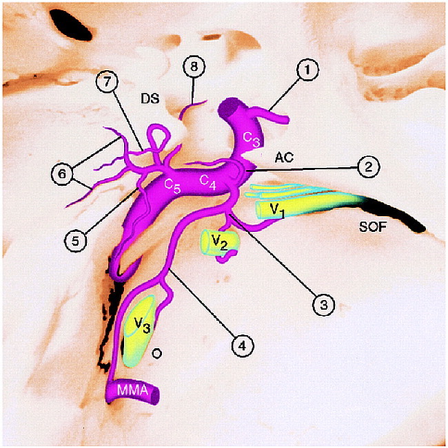 fig 4.