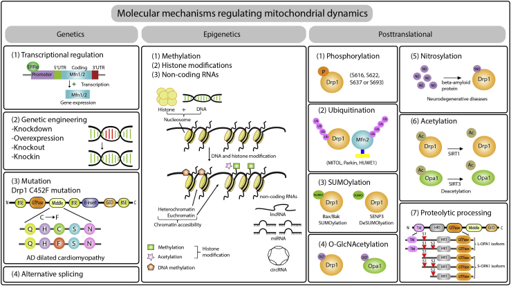 Figure 3