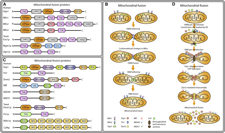 Figure 1