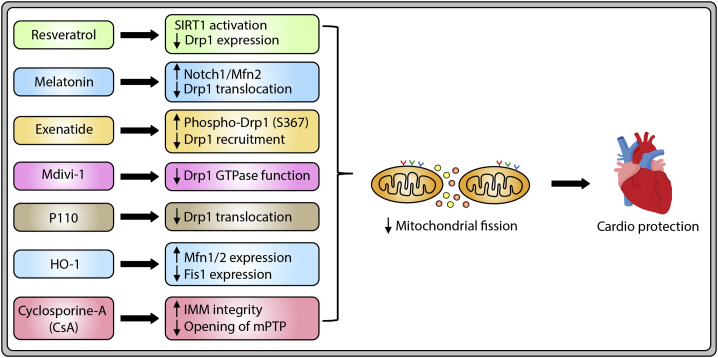 Figure 4