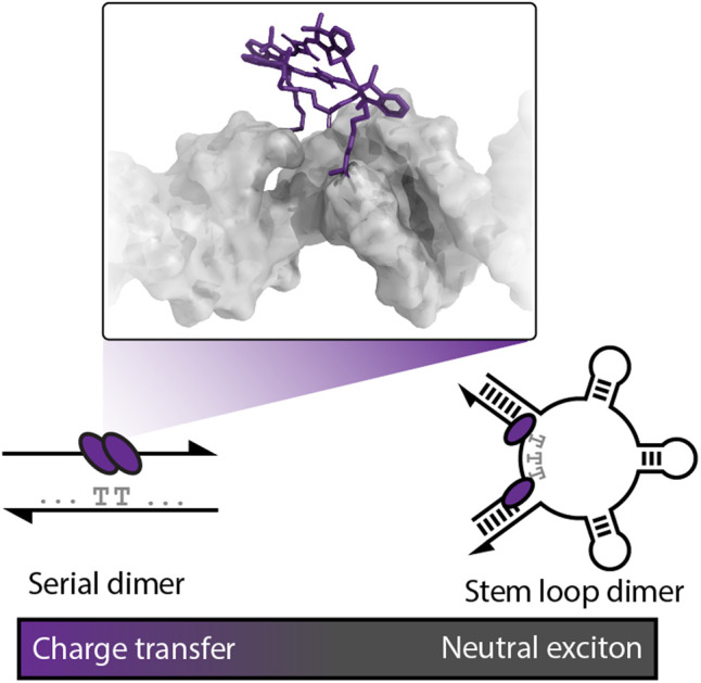 graphic file with name d2sc02759c-ga.jpg