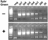 FIG. 2.