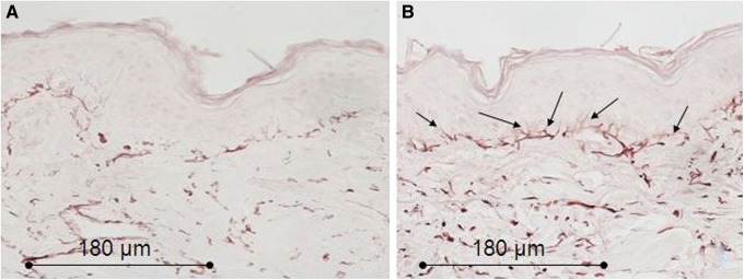 FIG. 27.