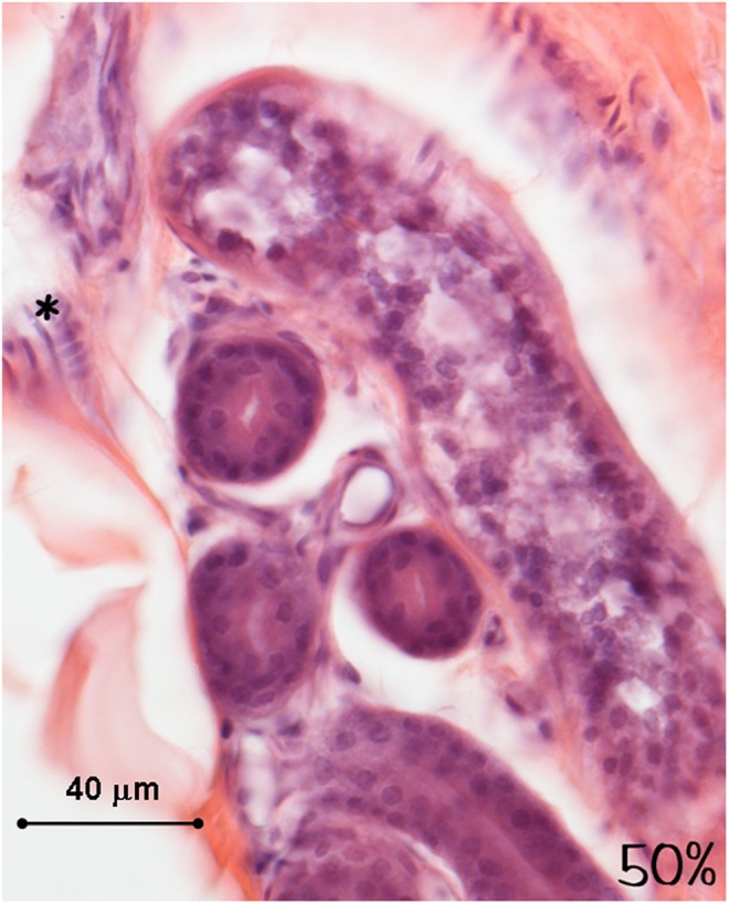 FIG. 14.