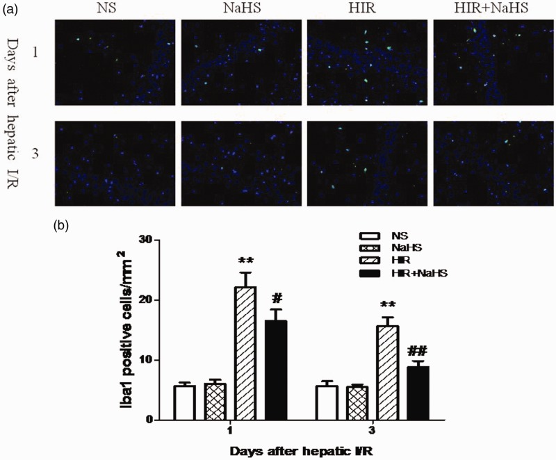 Figure 6