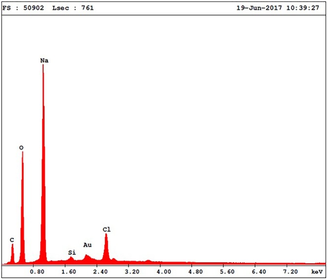 FIGURE 4