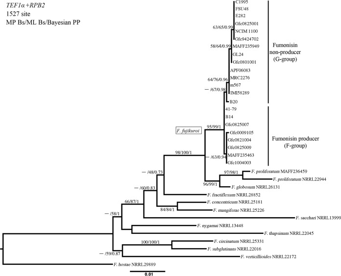 FIG 2