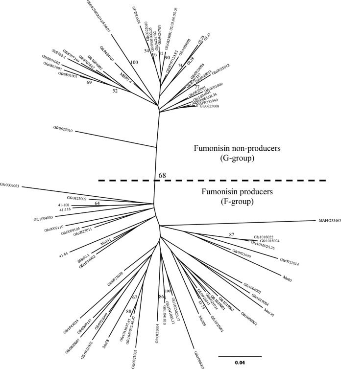 FIG 1