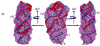 Figure 8