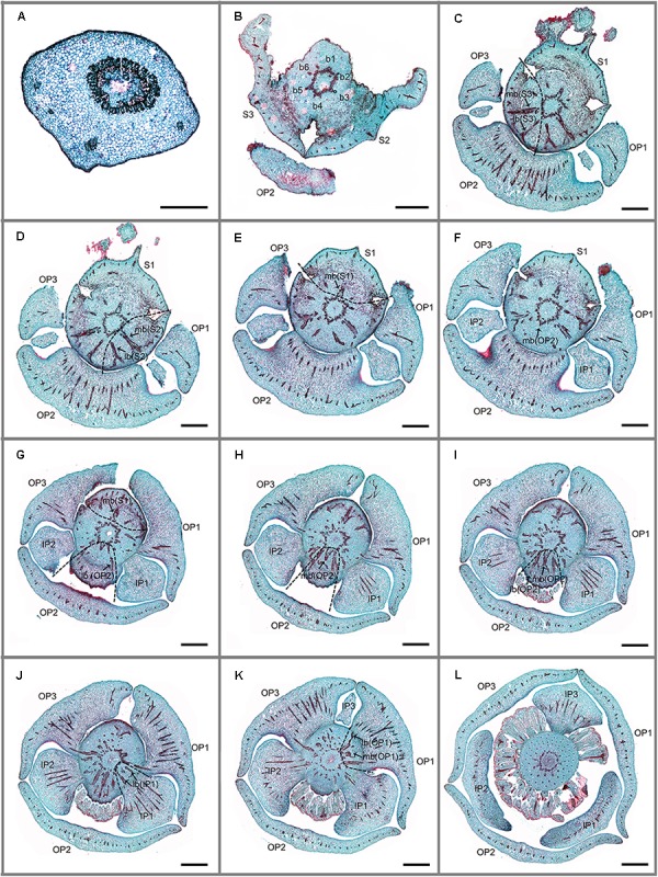 FIGURE 2