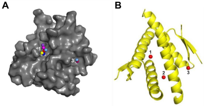 Figure 9