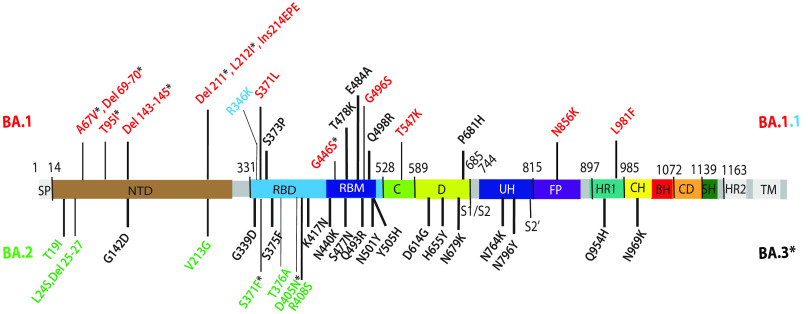 FIG 1