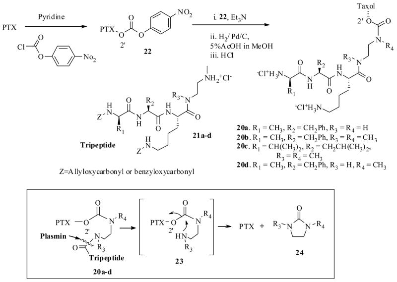 Scheme 6