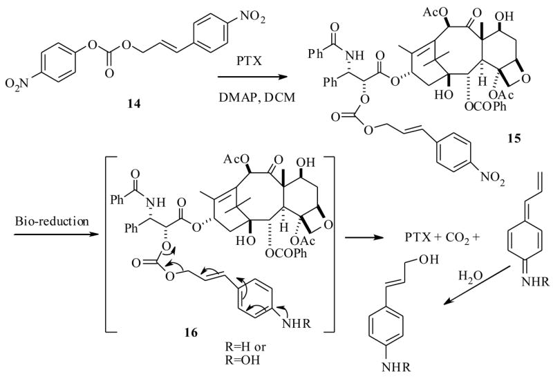 Scheme 4