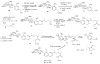 Scheme 15
