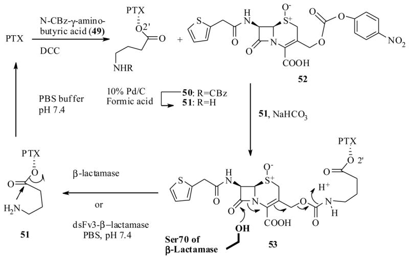 Scheme 12