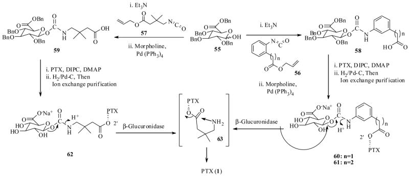 Scheme 13