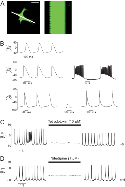 Fig. 4.